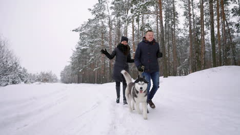 People-on-a-walk-in-the-forest.-A-man-and-a-Siberian-Husky-dog-are-pulling-a-sleigh-with-a-child-in-the-snow-in-the-forest.-A-woman-is-walking-in-the-forest